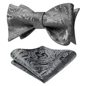 Anzug fliege hisdern fliege herren grau klassische paisley