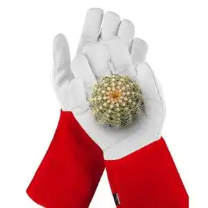 Stichfeste handschuhe nocry dornensicher und stichfest