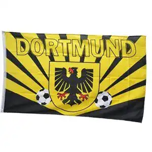 Bvb fahne flaggenfritze flagge fanflagge dortmund strahlen