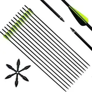Carbonpfeile deweey pfeile carbon 31 zoll bogenpfeile