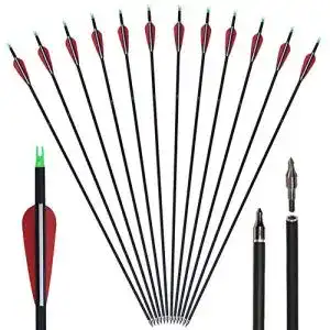 Carbonpfeile huntingdoor 12er pack 30 zoll jagdpfeile mit vanes