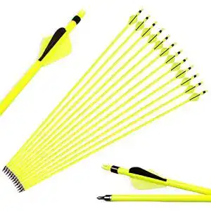 Carbonpfeile sharrow 12 stueck 30 zoll jagdpfeile pfeile