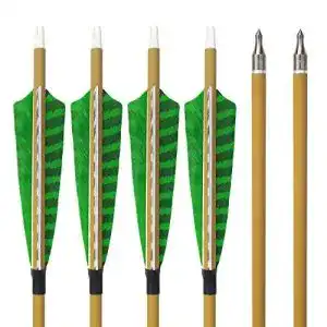 Carbonpfeile sharrow 12pcs 30 zoll mit naturfedern