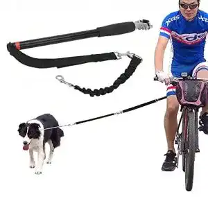 Fahrrad leinenhalter allright hundeleine fahrrad joggingleine