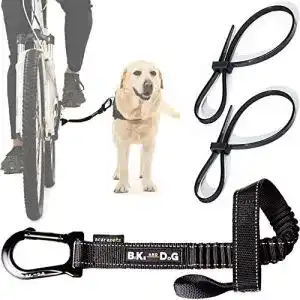 Fahrrad leinenhalter bike and dog fahrrad hundeleine