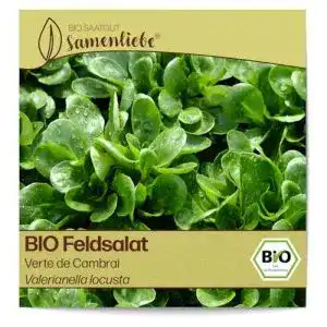 Feldsalat samen samenliebe bio feldsalat samen alte sorte