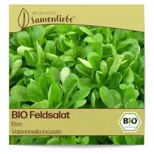 Feldsalat samen samenliebe bio feldsalat samen alte sorte elan