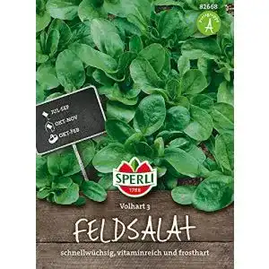 Feldsalat samen sperli 82668 premium feldsalat samen vollhart 3