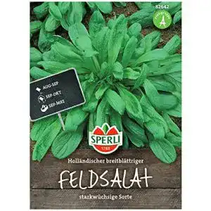 Feldsalat samen sperli premium feldsalat hollaendischer