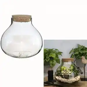 Flaschengarten annastore pflanz terrarium mit led beleuchtung