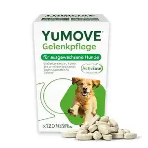 Gelenktabletten fuer hunde yumove mit gruenlippmuschel