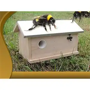 Hummelhaus melko hummel hummelkasten hummelnistkasten