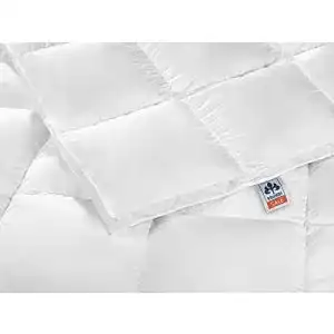 Irisette bettdecke irisette daunendecke nora extra warm