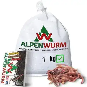 Kompostwuermer alpenwurm 1kg min 1000stk regenwuermer