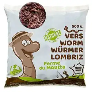 Kompostwuermer moutta 500 stk 250g regenwuermer eisenia