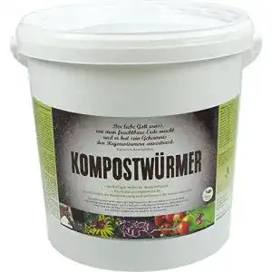Kompostwürmer