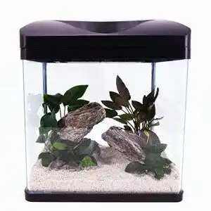 Nano aquarium amtra nano aquarium laguna schwarz