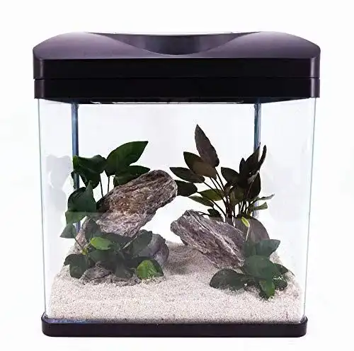 Nano-Aquarium Amtra Laguna in Schwarz für moderne Wohnkonzepte