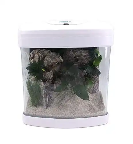 Nano-Aquarium Amtra Technik Xcube in Weiß