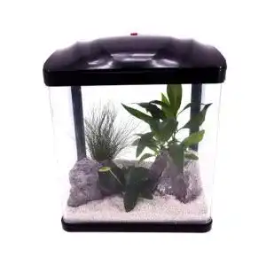 Nano aquarium aquaone aquarium komplettset led mit pumpe 1