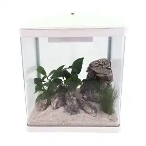 Nano aquarium aquaone aquarium komplettset led mit pumpe