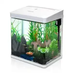 Nano aquarium nobleza nano fischtank aquarium led