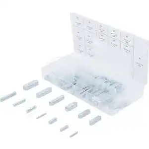 Passfedern bgs 8141 sortiment 60 tlg