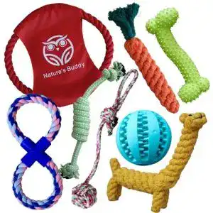 Robustes hundespielzeug buddy wild hundespielzeug