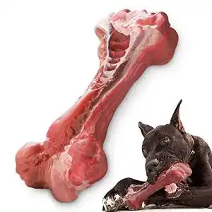 Robustes hundespielzeug masbrill unzerstoerbar