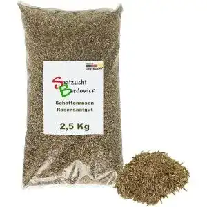 Schattenrasen saatzucht bardowick rasen grassamen rasensamen