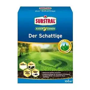 Schattenrasen