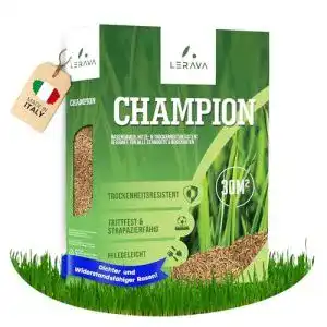 Trockenrasen lerava champion rasensamen trockenresistent