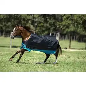 Winterdecke pferd amigo horseware mio turnout medium