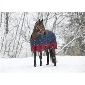 Winterdecke pferd equitheme winterdecke 150g fuellung tyrex