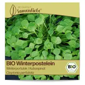Bio saatgut samenliebe bio winterpostelein samen alte sorte