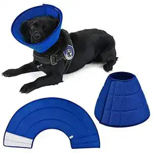Halskrause hund newsbirds halskrause fuer hund leichte bequem