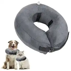 Halskrause hund nobleza aufblasbare halskrause hunde katzen