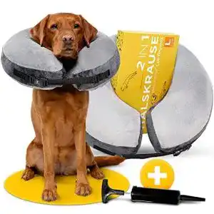 Halskrause hund tierhood aufblasbarer hundekragen leckschutz