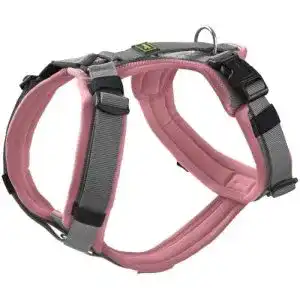 Hundegeschirr hunter hunter hundegeschirr maldon up