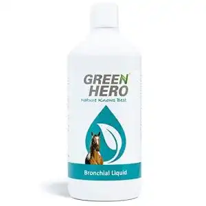 Hustensaft pferd green hero bronchial liquid fuer pferde