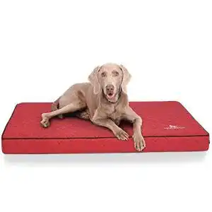 Orthopaedisches hundekissen knuffelwuff hundematte