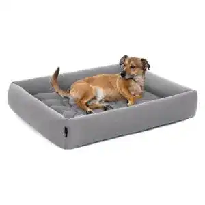 Orthopaedisches hundekissen pointer mittelgrosse hunde