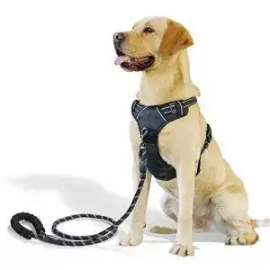 Y geschirr hund raining pet hundegeschirr geschirr fuer grosse