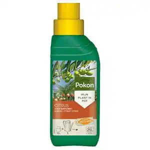 Zitrusduenger pokon zitrus u mediterraner pflanzenduenger 250ml