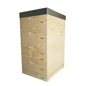 Bienenstock