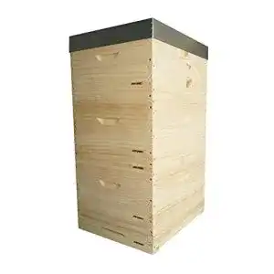 Bienenstock apiformes lorenzo langstroth beute 10 waben