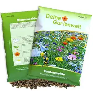 Bienenweide