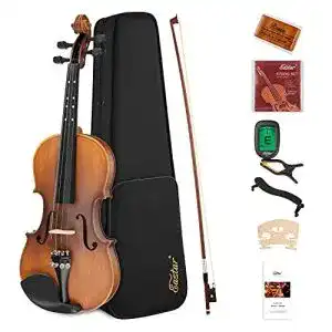 Geige eastar 4 4 violinenset in voller groesse matte violine