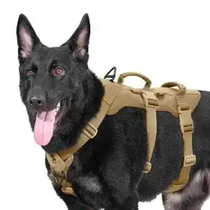 Hundegeschirr mit brustring onetigris hundegeschirr t bone