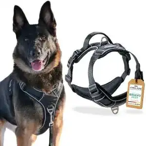 Hundegeschirr mit brustring orkani bravo hundegeschirr 2025